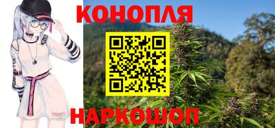 крисы Краснознаменск