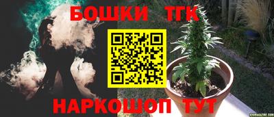 крисы Краснознаменск