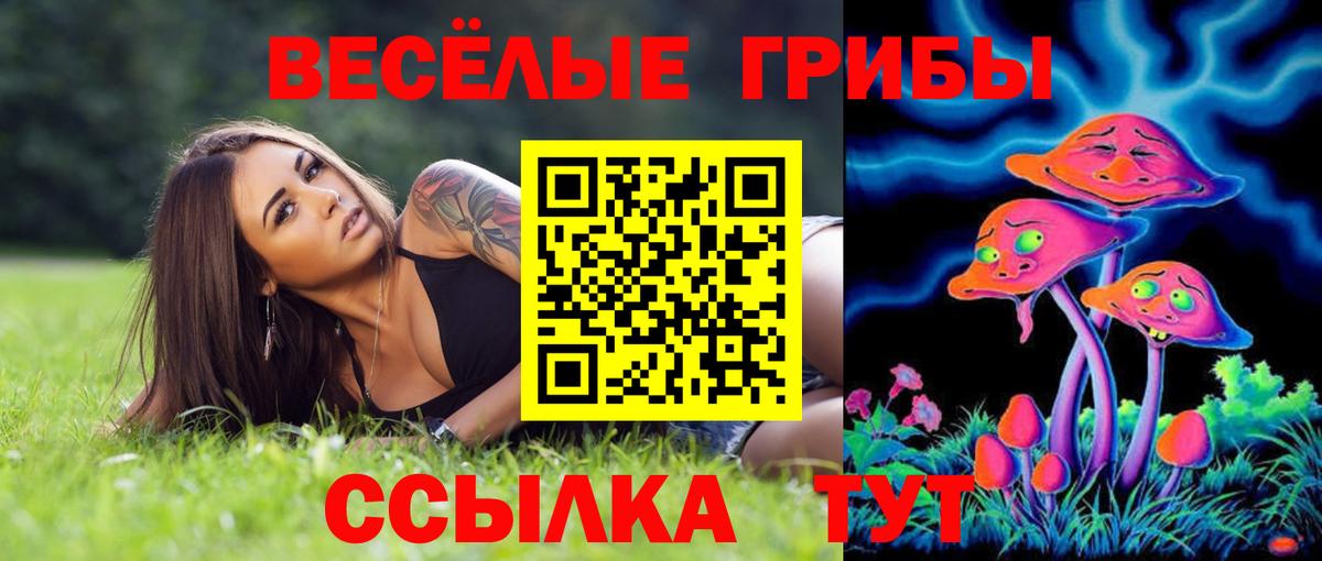 Псилоцибиновые грибы GOLDEN TEACHER  Вход с VPN  как найти наркотики  Котовск  Псилоцибиновые грибы мухоморы 