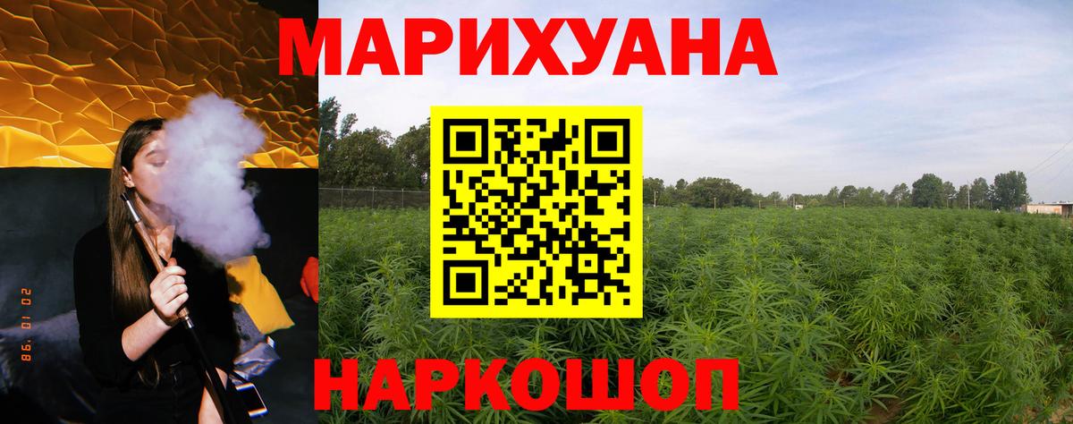 Бошки Шишки сатива Котовск
